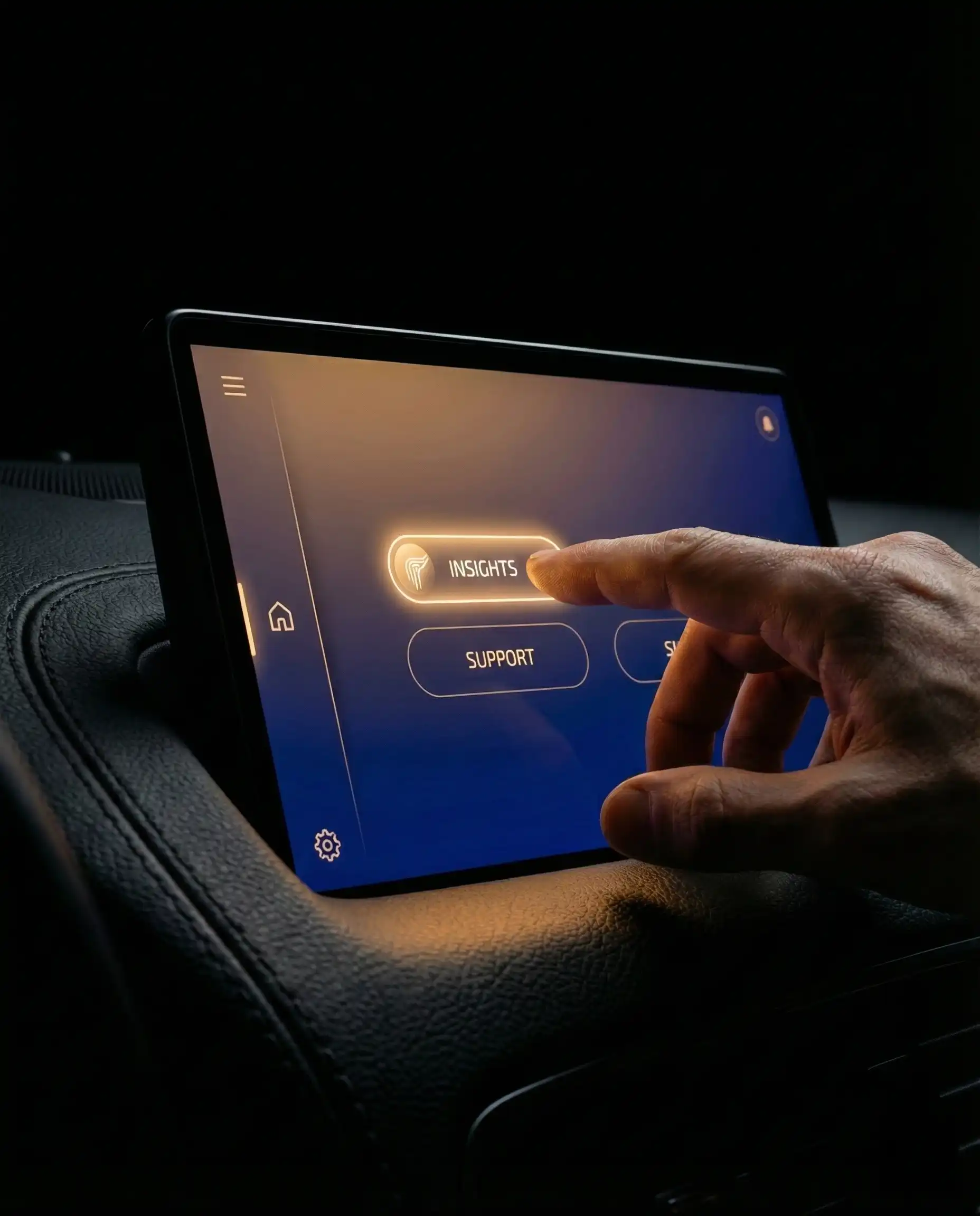 Professional Chauffeur